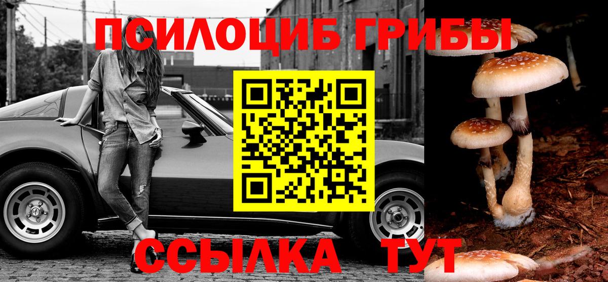 Губкин  Галлюциногенные грибы MAGIC MUSHROOMS  Вход с VPN  Галлюциногенные грибы ЛСД 